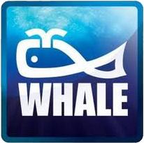 whale